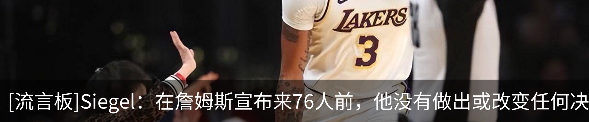 最新动态